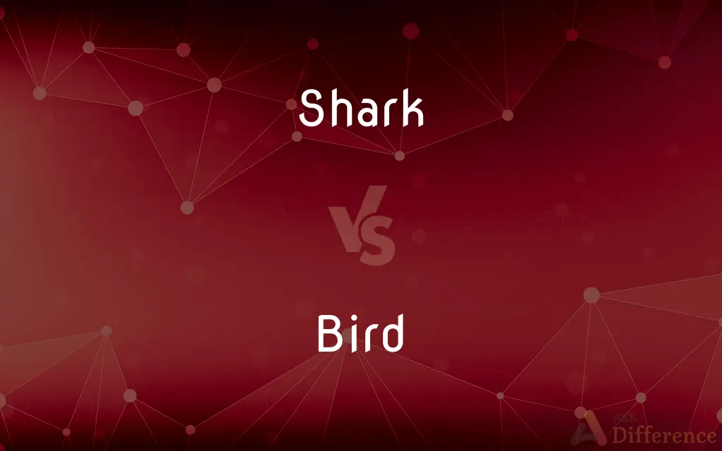 Shark vs. Bird — What's the Difference?