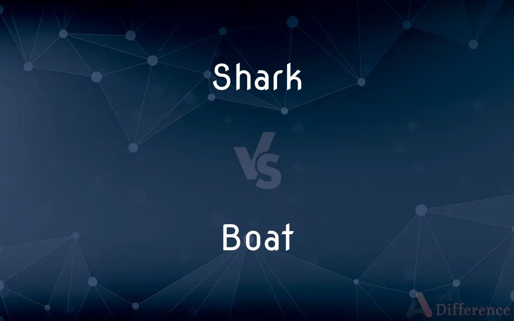 Shark vs. Boat — What's the Difference?