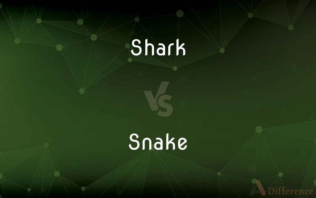 Shark vs. Snake — What's the Difference?