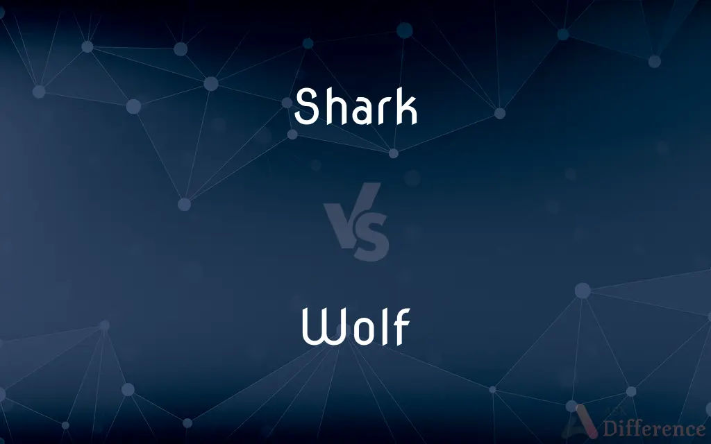 Shark vs. Wolf — What's the Difference?