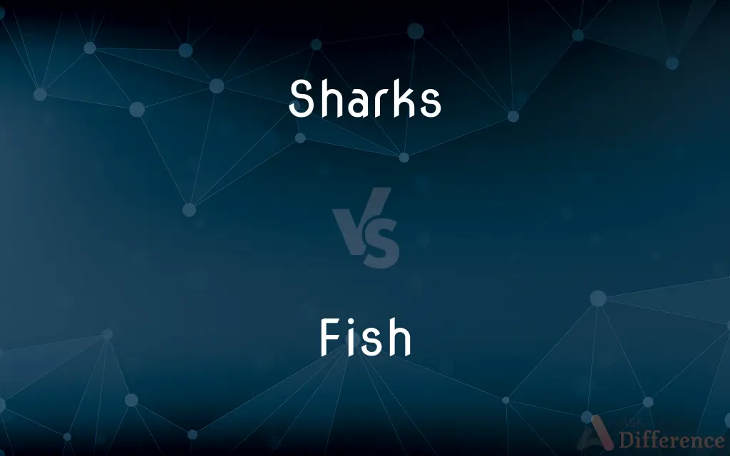 Sharks vs. Fish — What's the Difference?