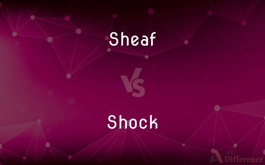 Sheaf vs. Shock — What's the Difference?