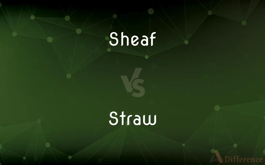 Sheaf vs. Straw — What's the Difference?