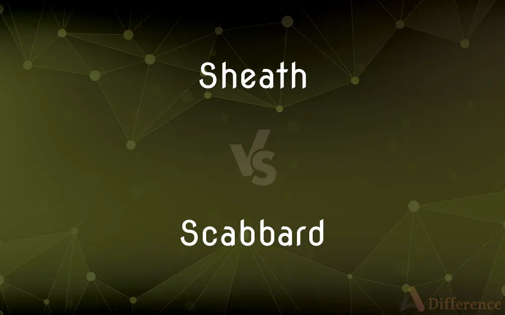 Sheath vs. Scabbard — What's the Difference?