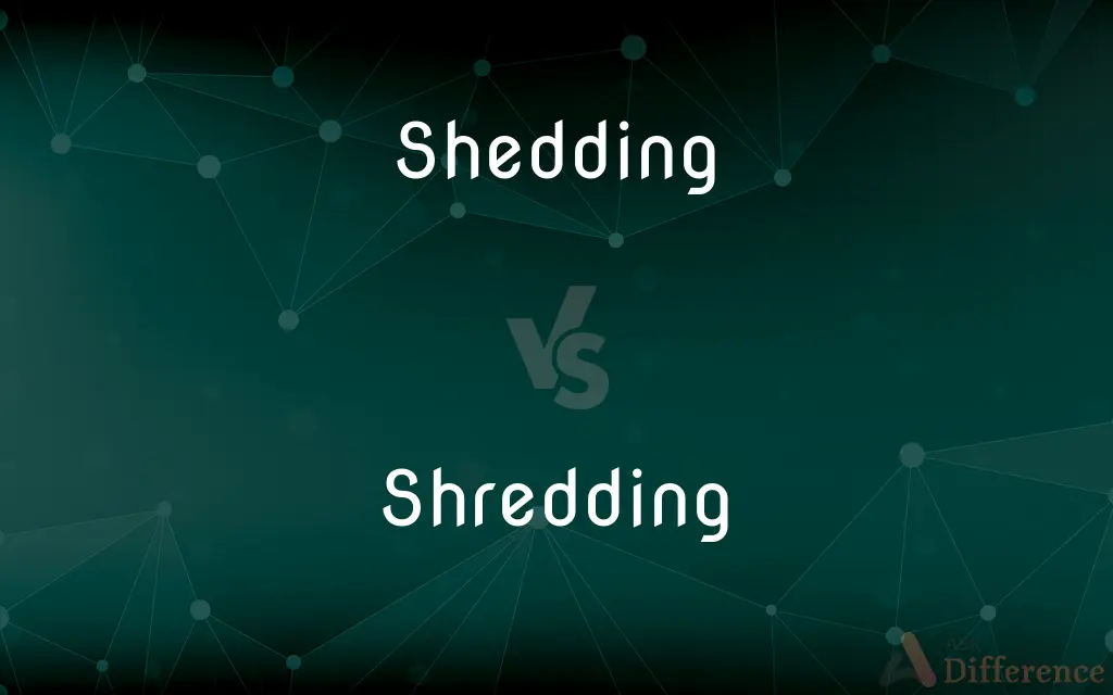 Shedding vs. Shredding — What's the Difference?