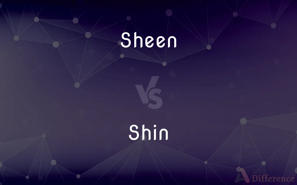 Sheen vs. Shin — What's the Difference?