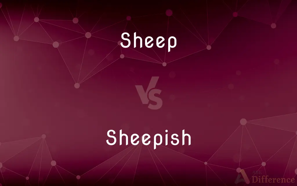 Sheep vs. Sheepish — What's the Difference?