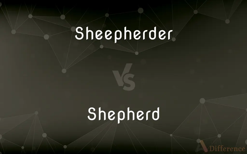 Sheepherder vs. Shepherd — What's the Difference?