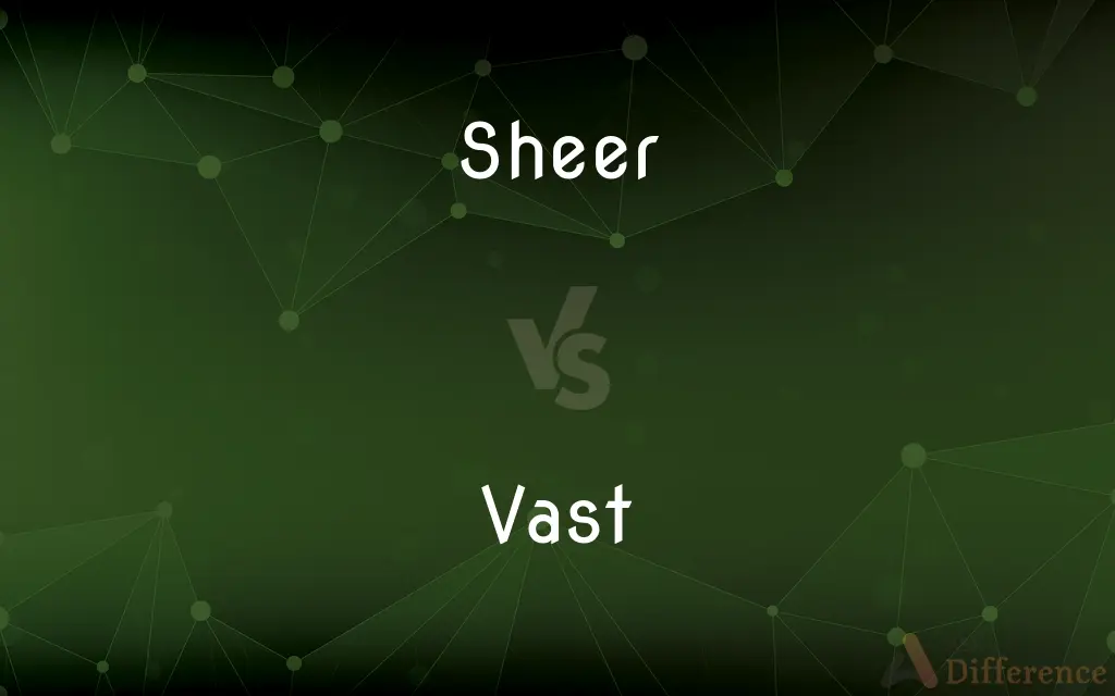 Sheer vs. Vast — What's the Difference?