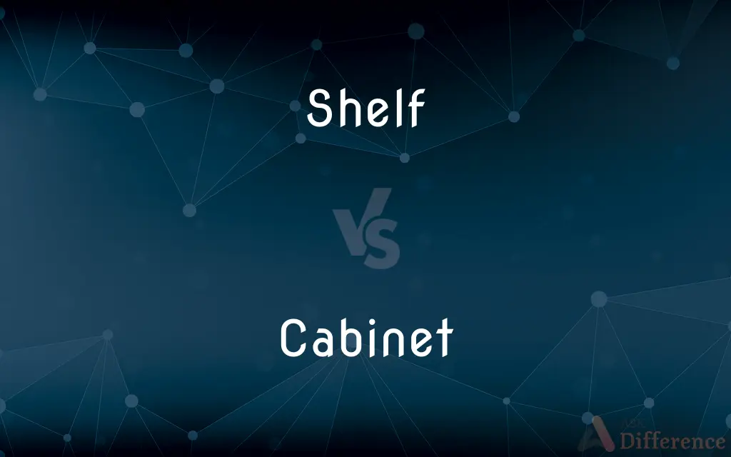Shelf vs. Cabinet — What's the Difference?