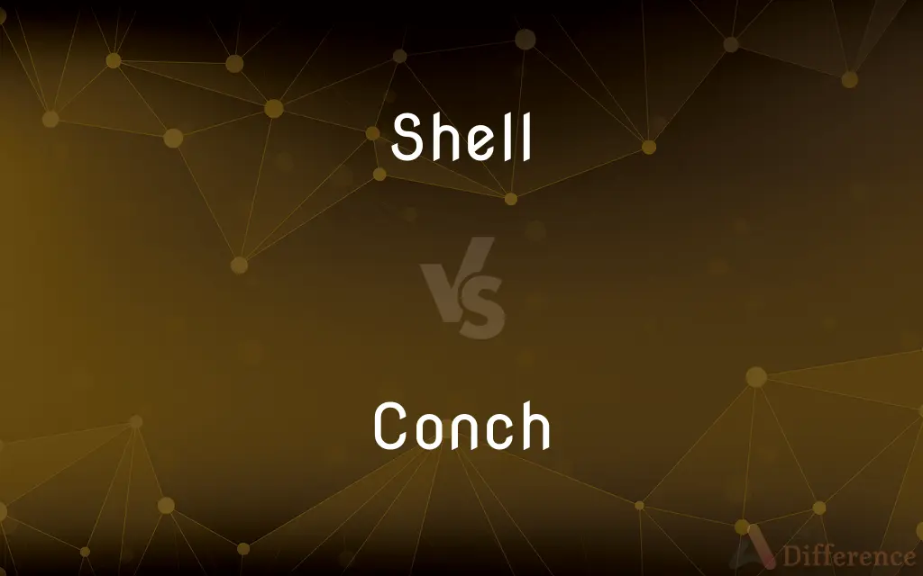 Shell vs. Conch — What's the Difference?