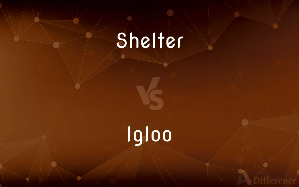 Shelter vs. Igloo