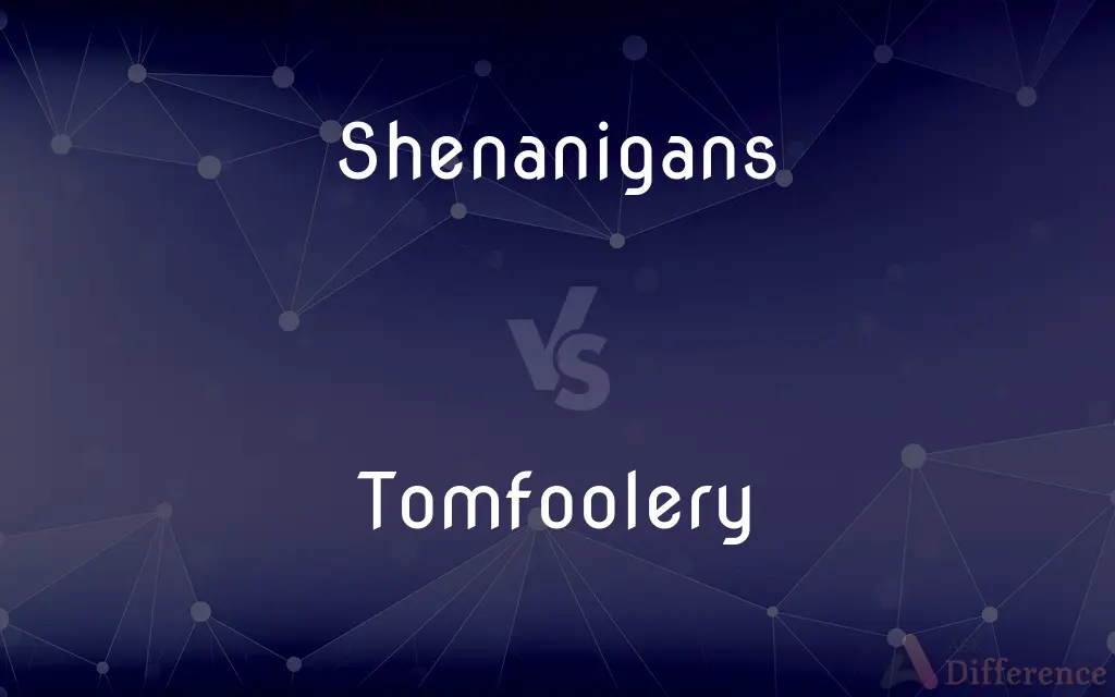 Shenanigans vs. Tomfoolery — What's the Difference?