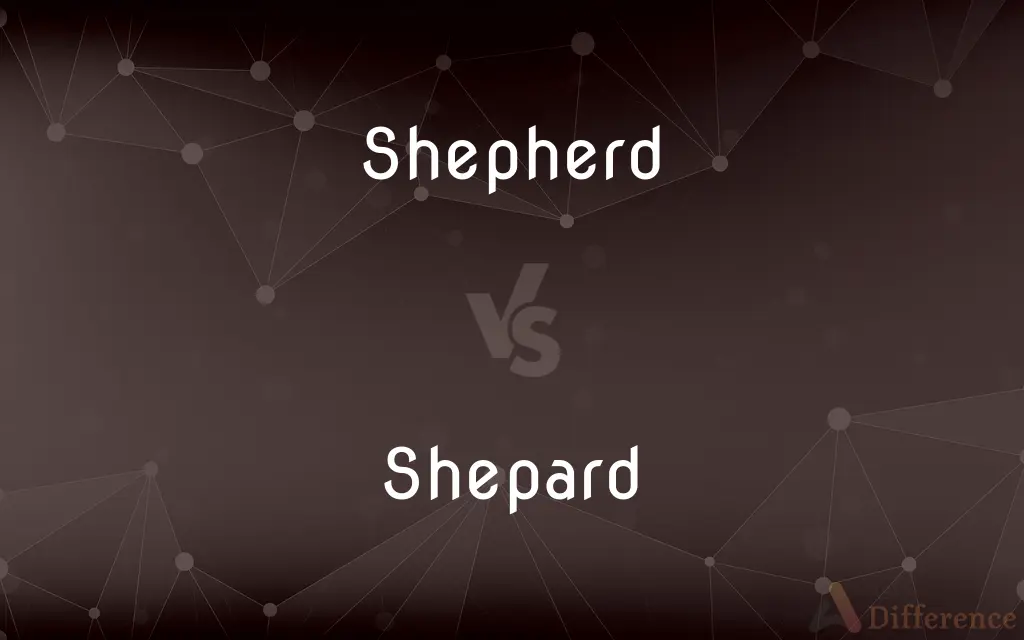Shepherd vs. Shepard — Which is Correct Spelling?