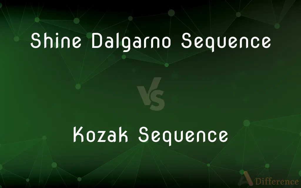 Shine Dalgarno Sequence vs. Kozak Sequence — What's the Difference?