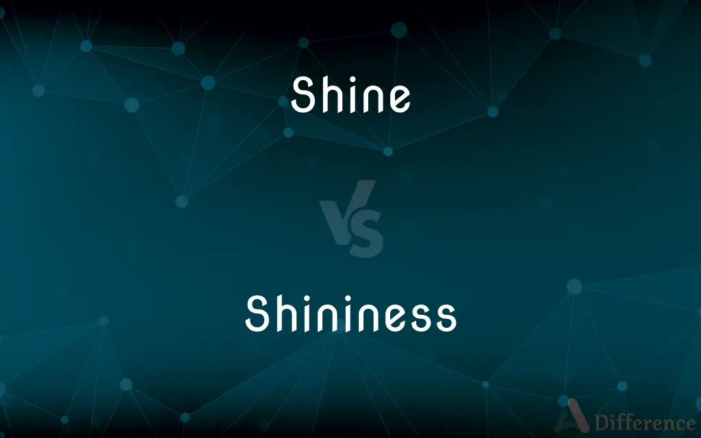 Shine vs. Shininess — What's the Difference?