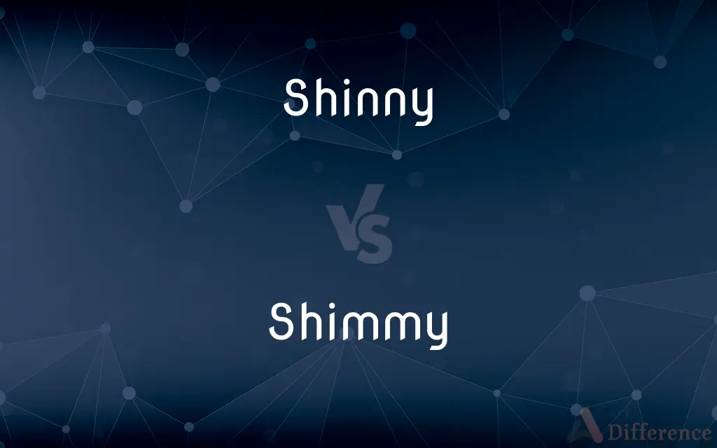 Shinny vs. Shimmy — What's the Difference?