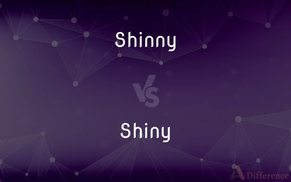 Shinny vs. Shiny — What's the Difference?