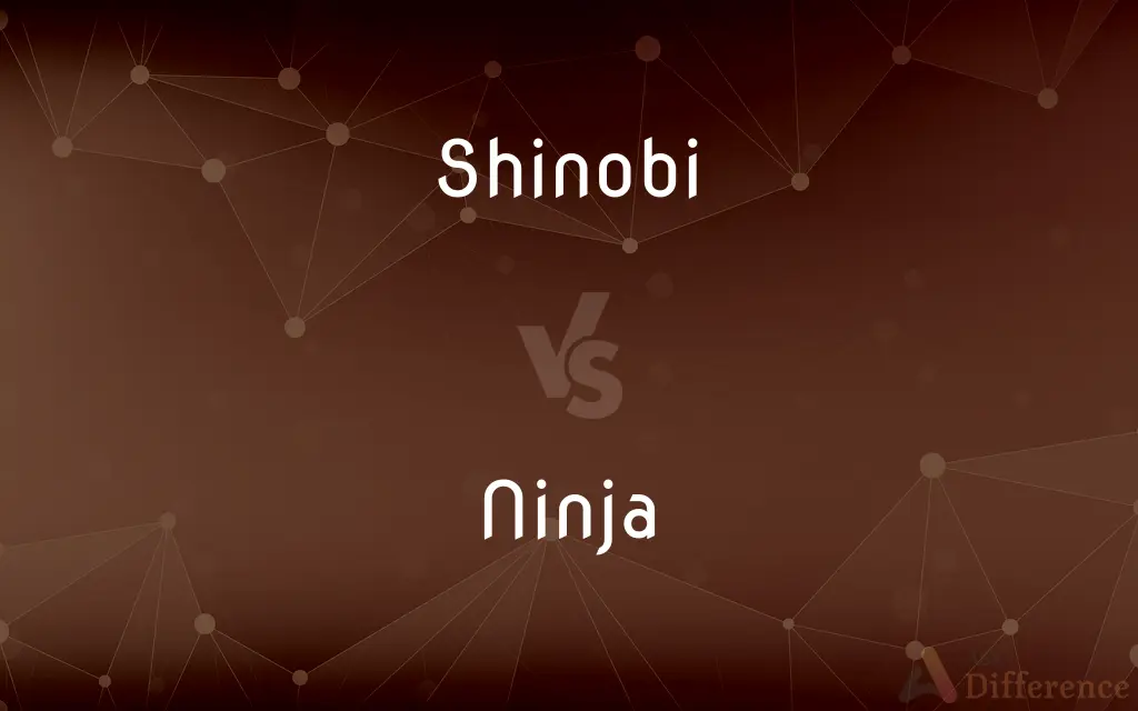 Shinobi vs. Ninja — What's the Difference?
