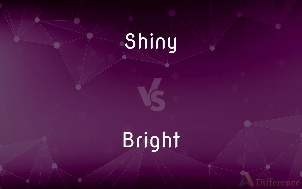 Shiny vs. Bright — What's the Difference?