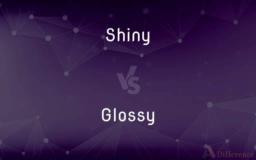 Shiny vs. Glossy — What's the Difference?