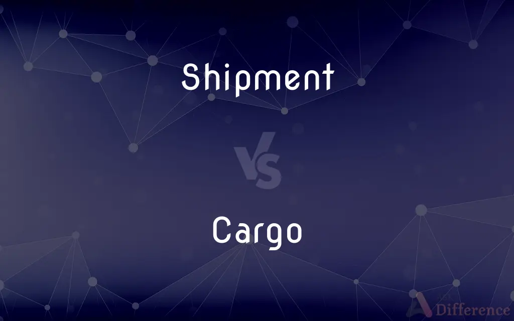 Shipment vs. Cargo — What's the Difference?