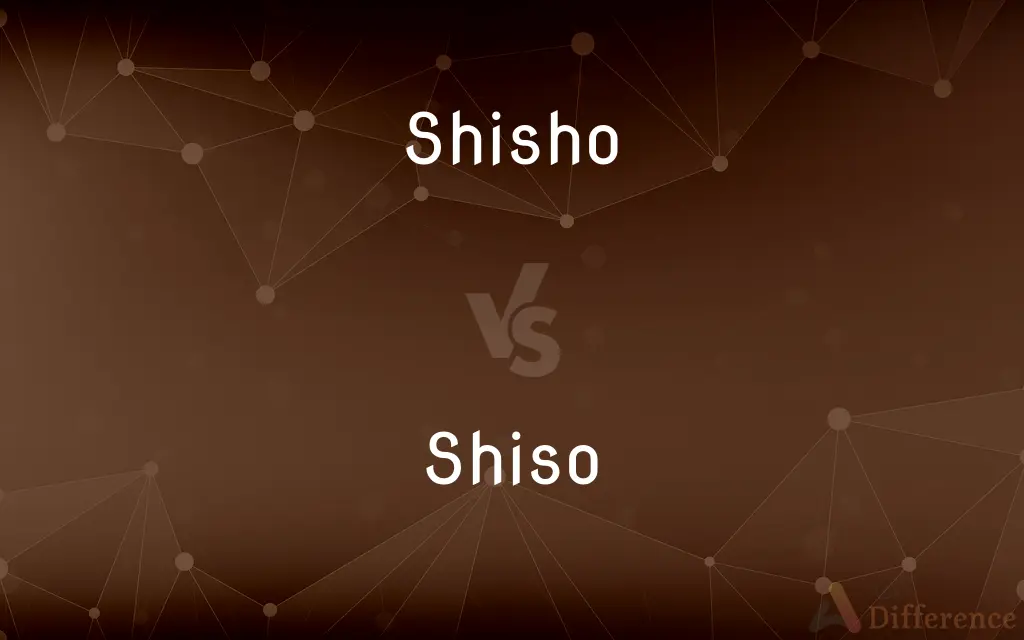 Shisho vs. Shiso — Which is Correct Spelling?