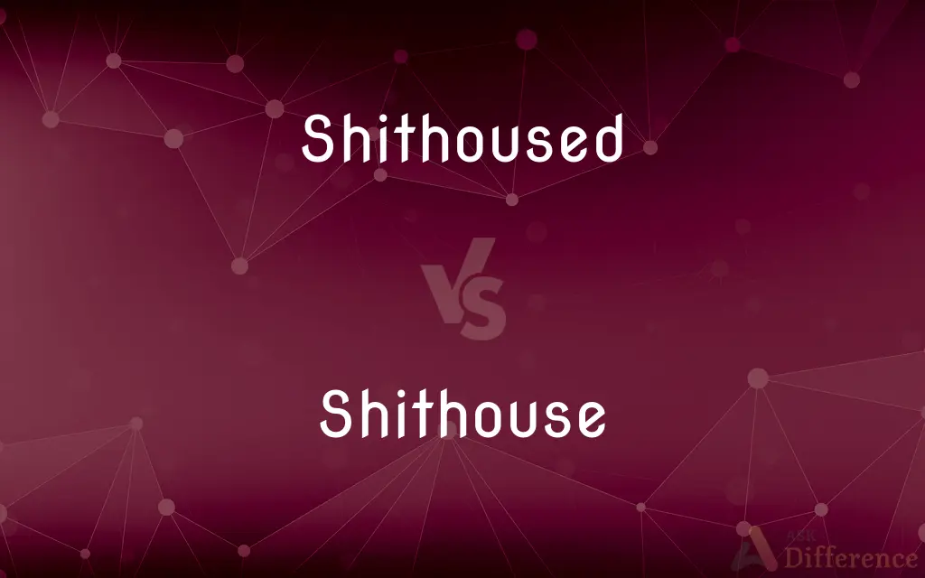 Shithoused vs. Shithouse — What's the Difference?