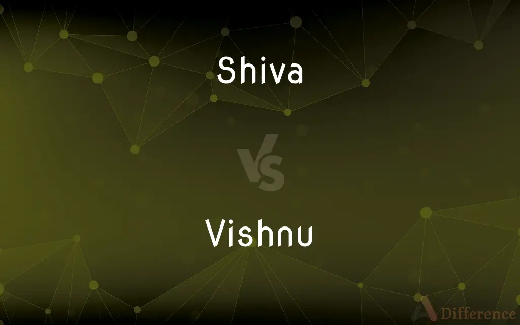 Shiva vs. Vishnu — What's the Difference?