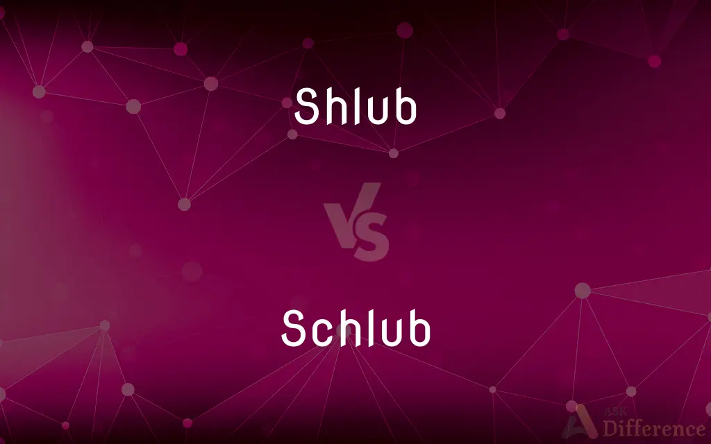 Shlub vs. Schlub — What's the Difference?