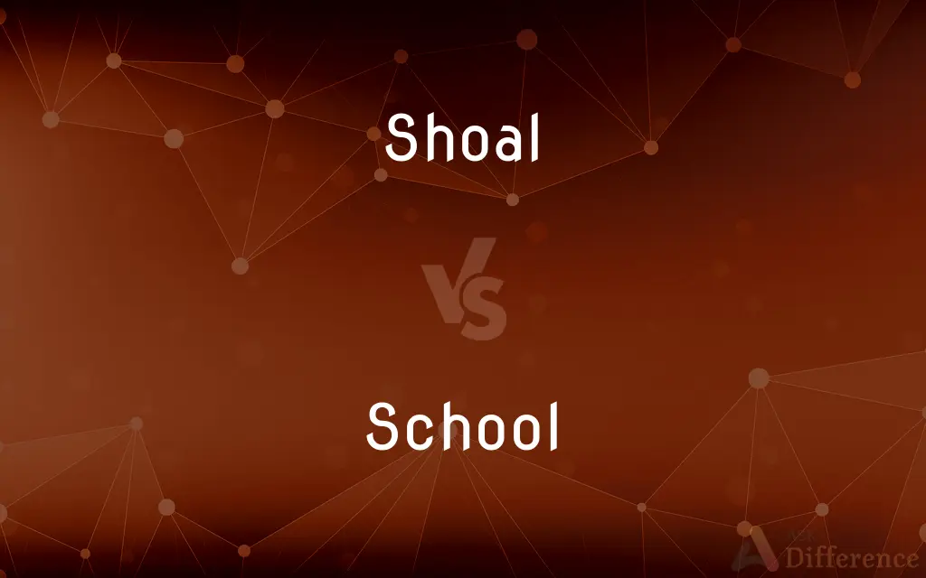 Shoal vs. School — What's the Difference?