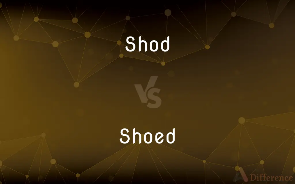 Shod vs. Shoed — What's the Difference?