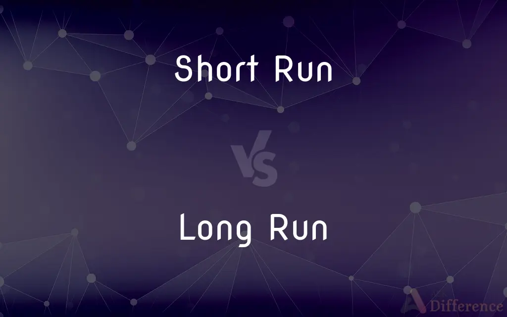 Short Run vs. Long Run — What's the Difference?