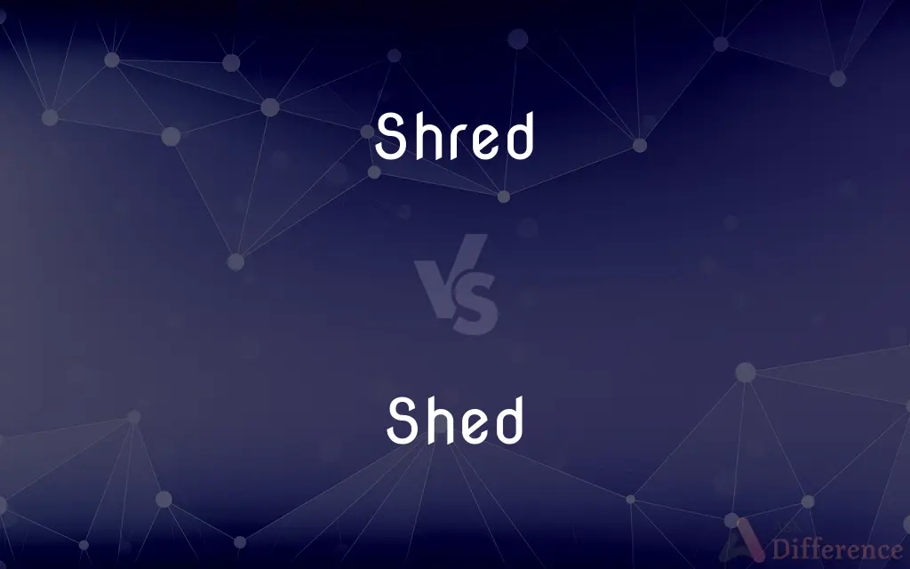 Shred vs. Shed — What's the Difference?