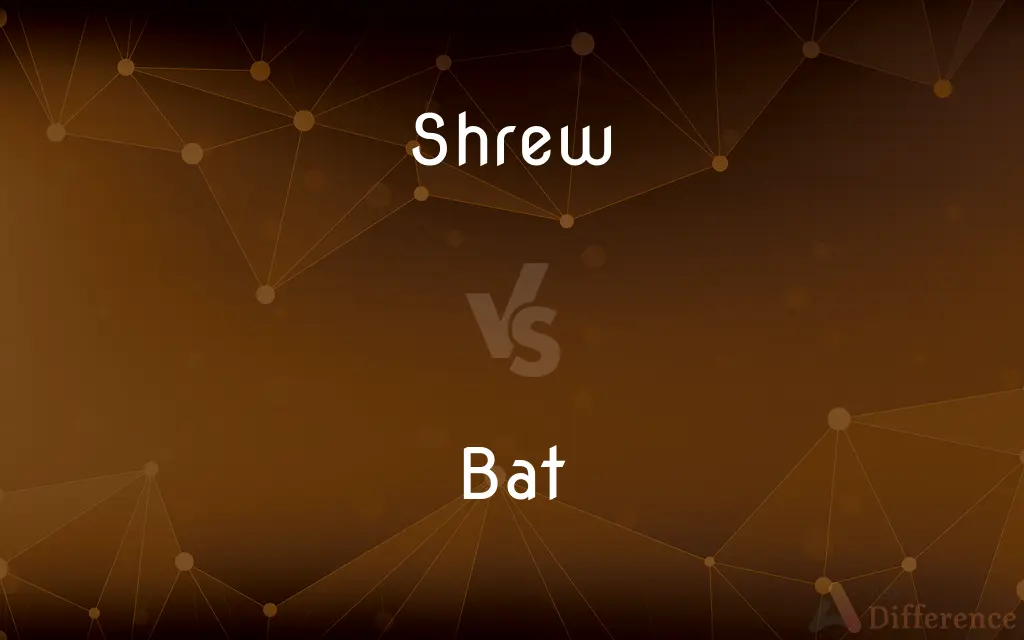 Shrew vs. Bat — What's the Difference?