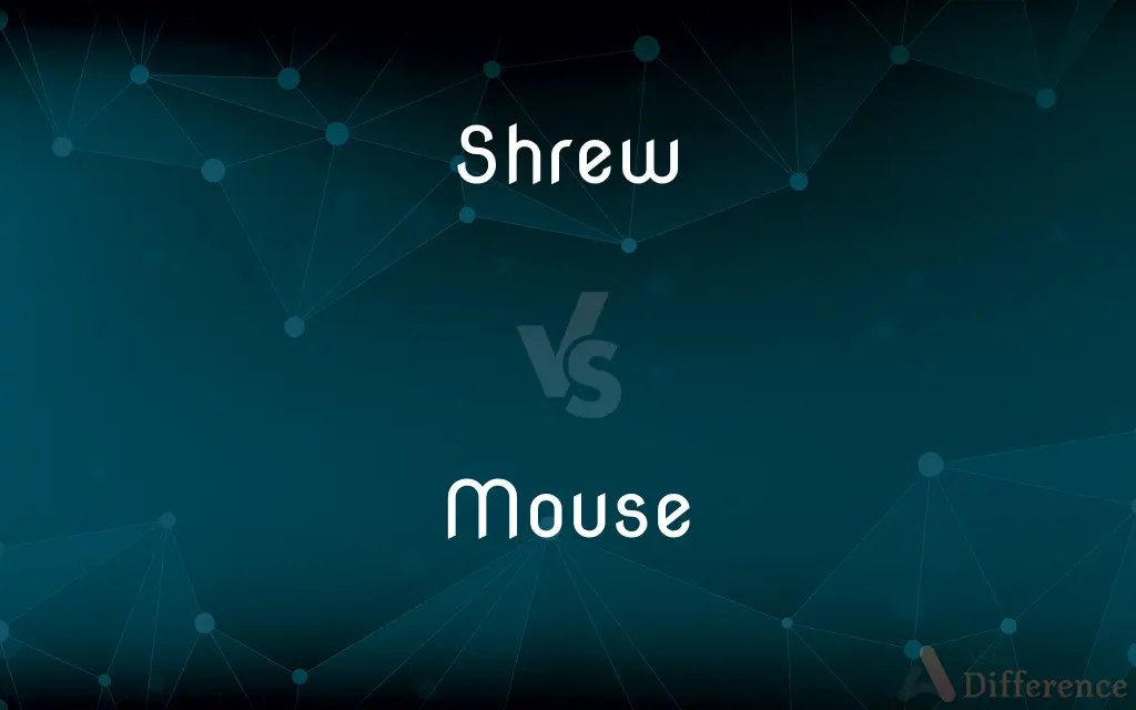 Shrew vs. Mouse — What's the Difference?