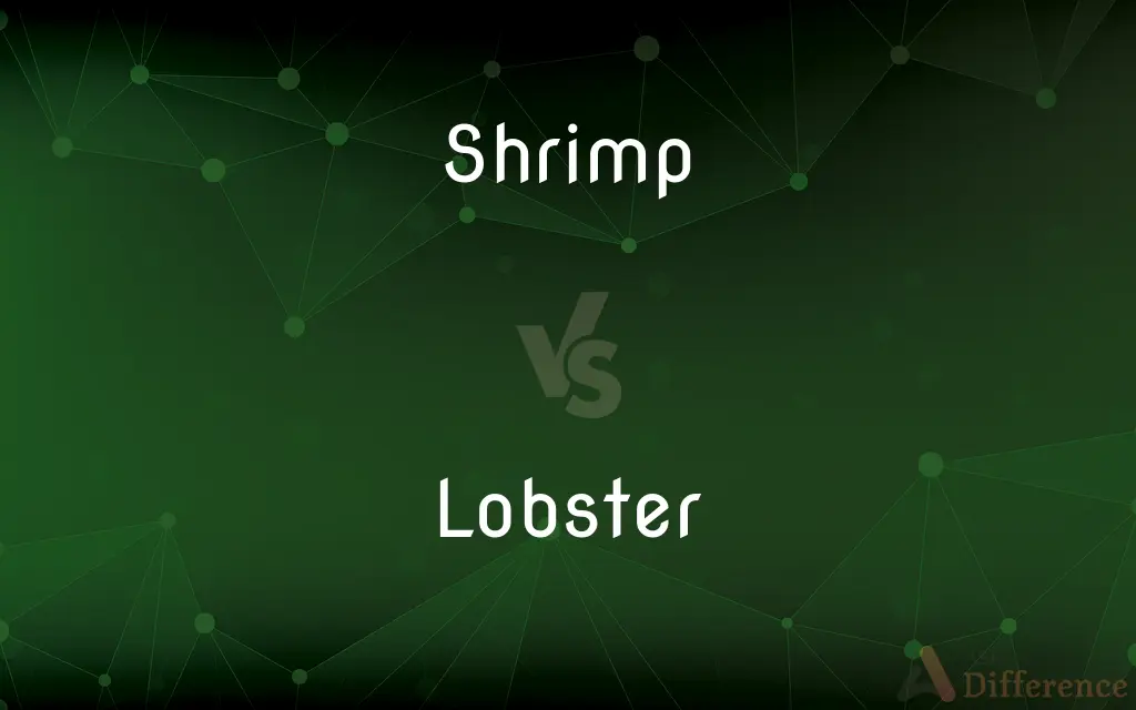 Shrimp vs. Lobster — What's the Difference?