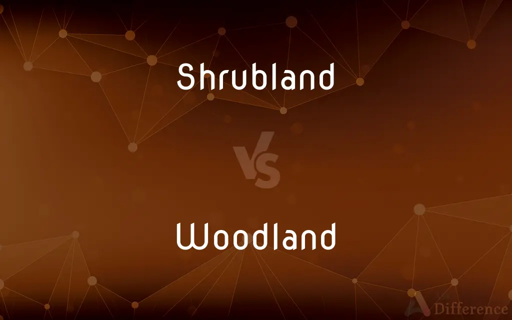 Shrubland vs. Woodland — What's the Difference?
