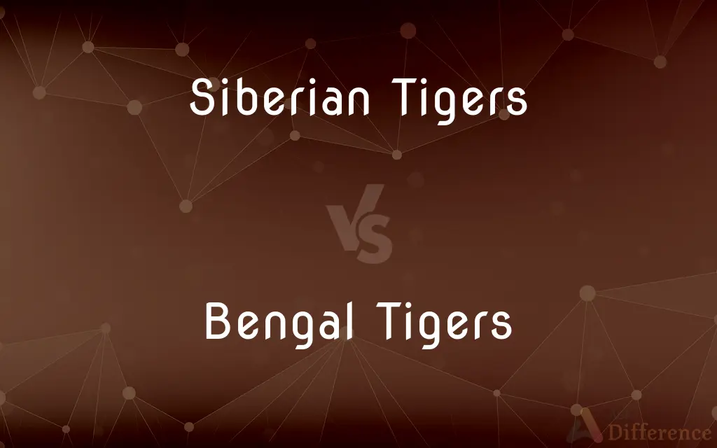 Siberian Tigers vs. Bengal Tigers — What's the Difference?
