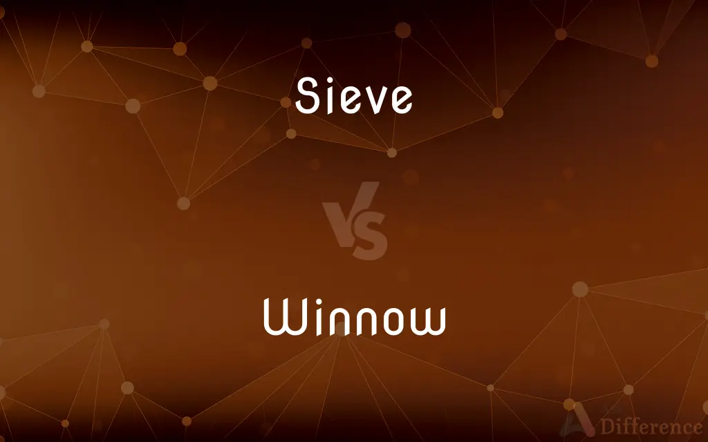 Sieve vs. Winnow — What's the Difference?