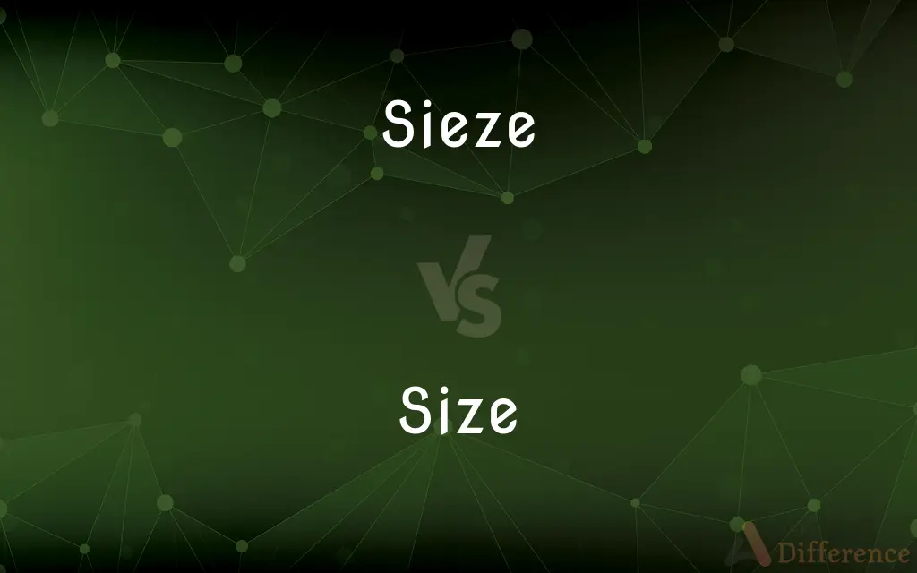 Sieze vs. Size — Which is Correct Spelling?
