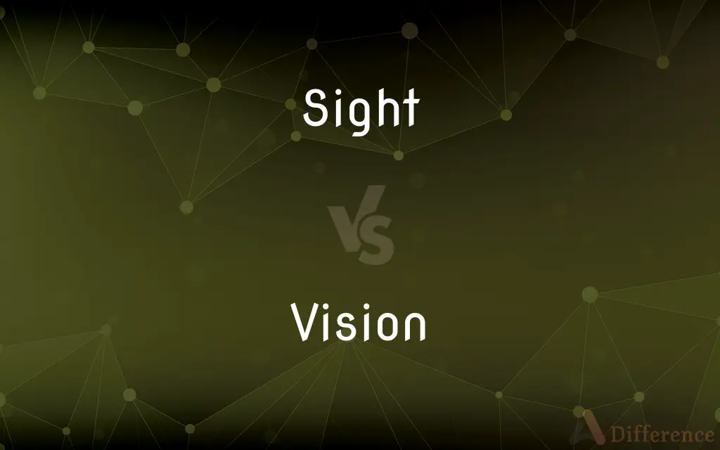 Sight vs. Vision — What's the Difference?