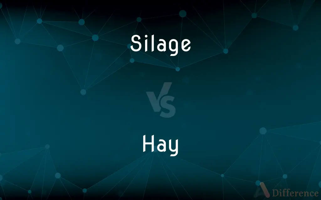 Silage vs. Hay — What's the Difference?
