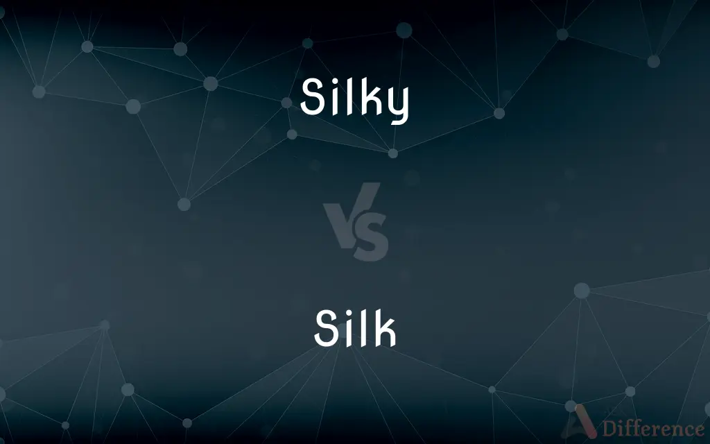 Silky vs. Silk — What's the Difference?