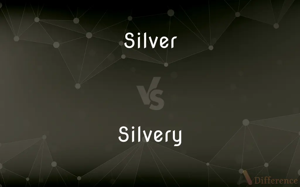 Silver vs. Silvery — What's the Difference?