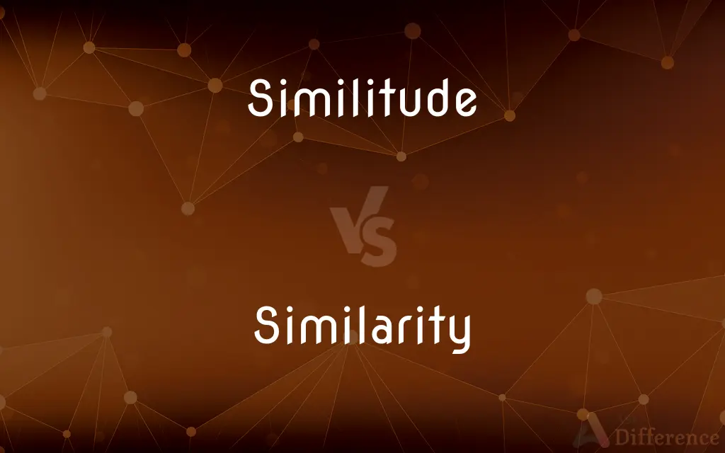 Similitude vs. Similarity — What's the Difference?