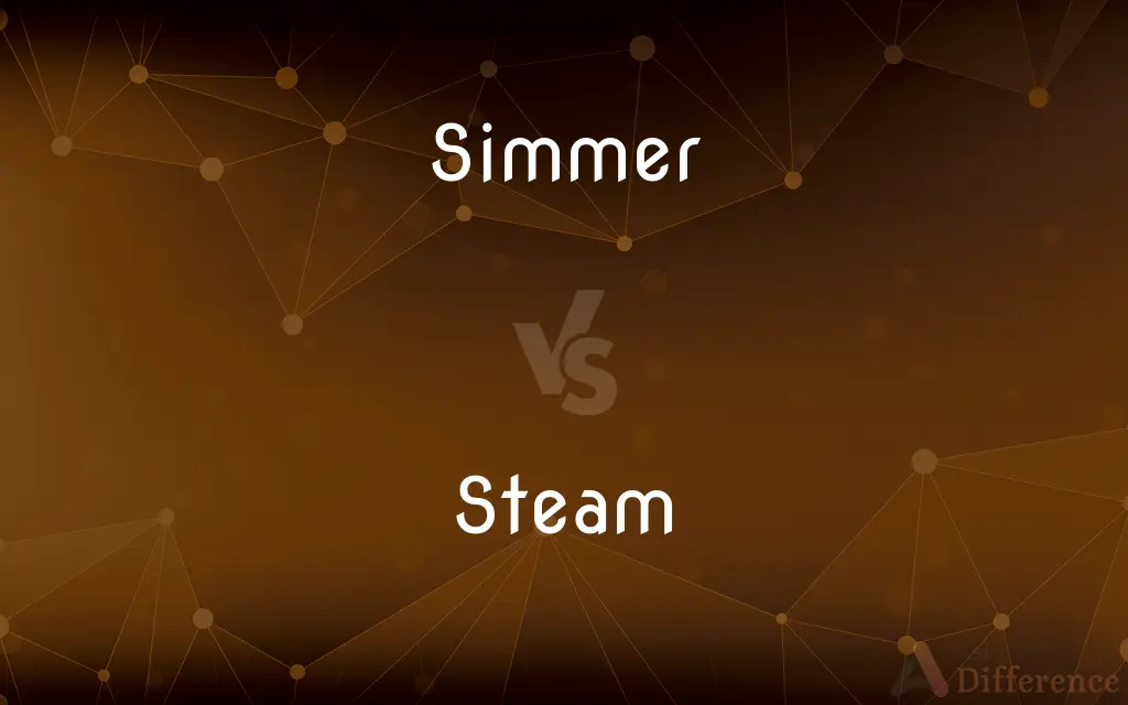 Simmer vs. Steam — What's the Difference?