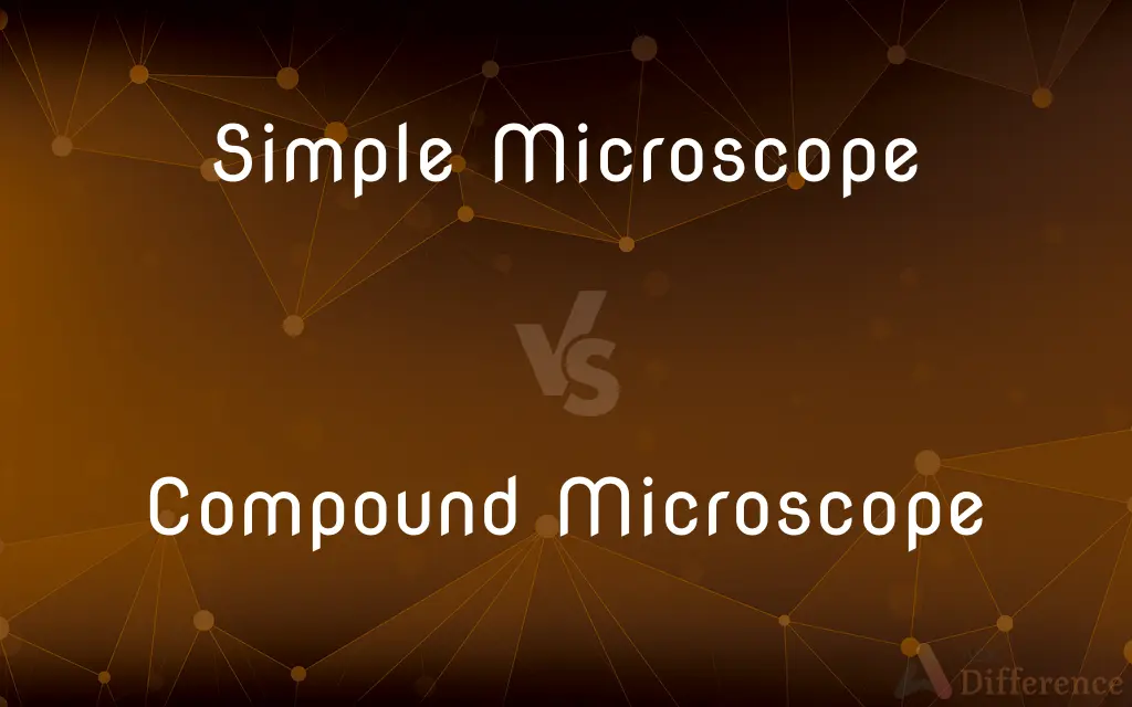 Simple Microscope vs. Compound Microscope — What's the Difference?