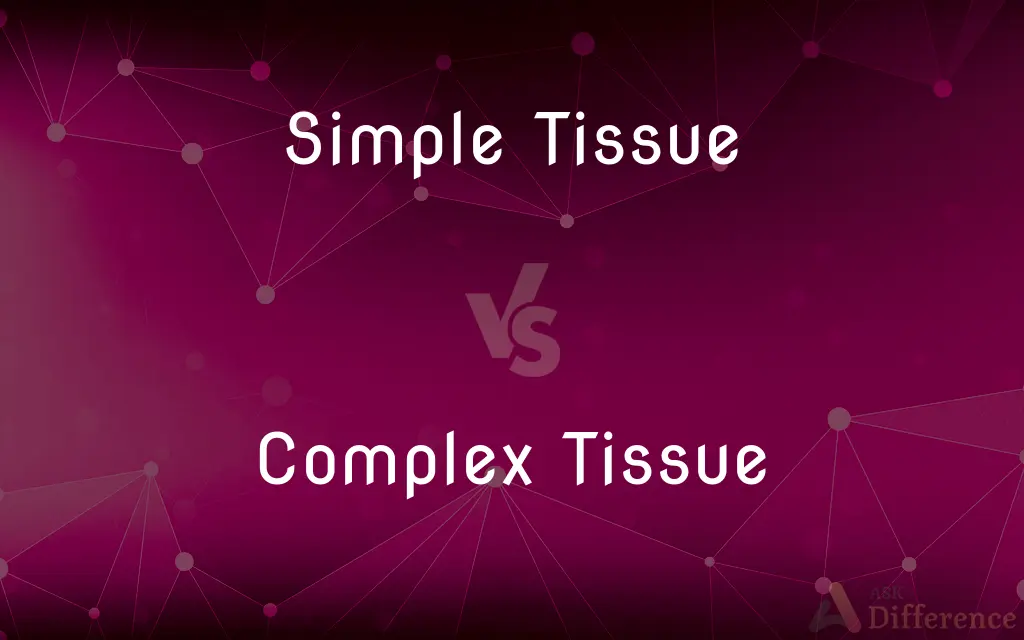 Simple Tissue vs. Complex Tissue — What's the Difference?