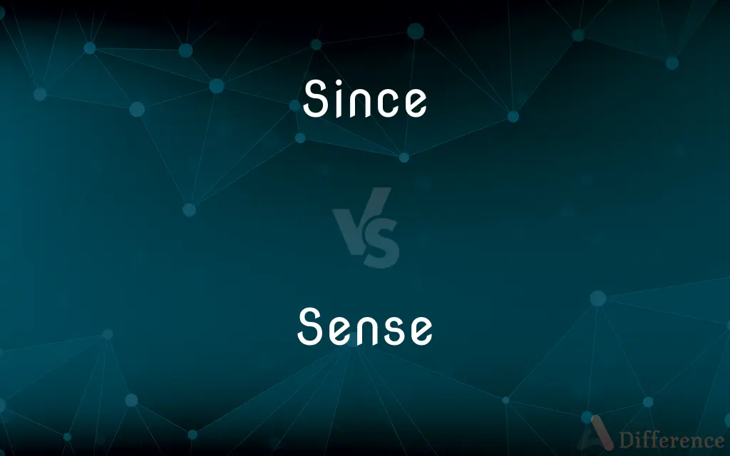 Since vs. Sense — What's the Difference?